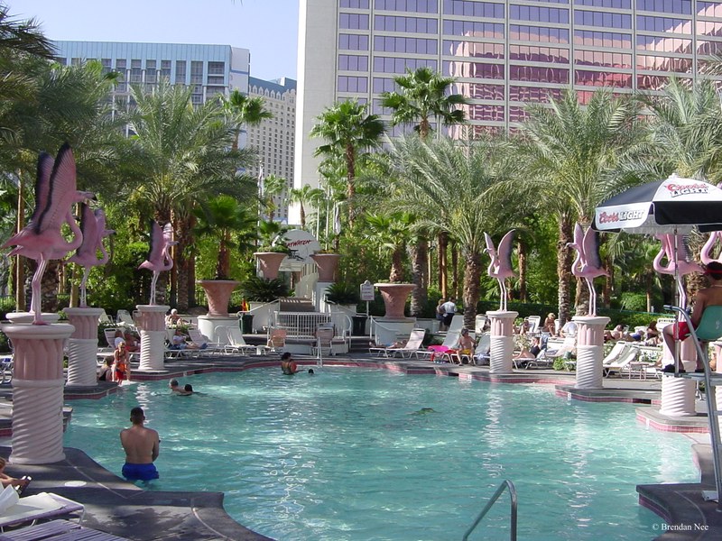 Flamingo - Las Vegas 8-02 008